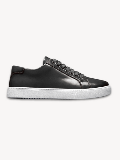 Francis  - Men's Leather Sneaker