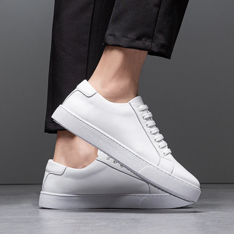 Francis  - Men's Leather Sneaker