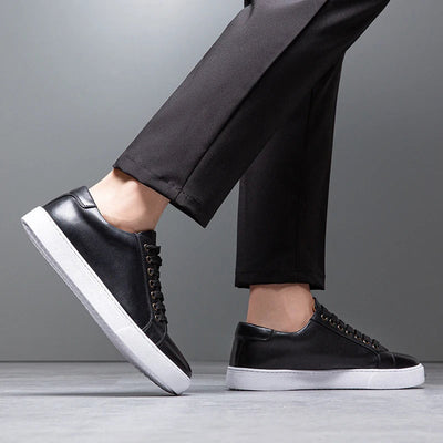 Francis  - Men's Leather Sneaker