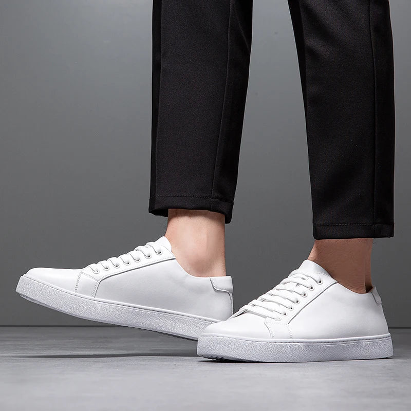 Francis  - Men's Leather Sneaker